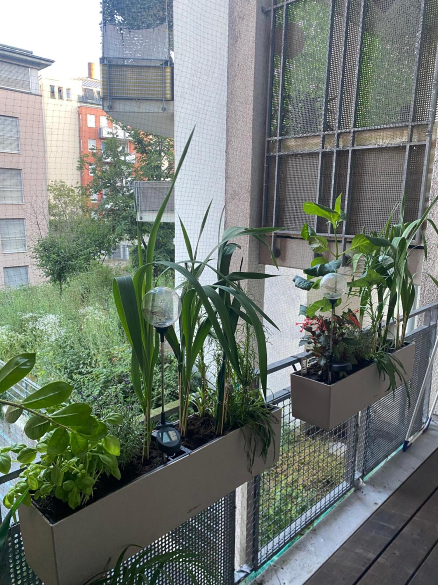 Apartment Grosszuegige Oase Mitte